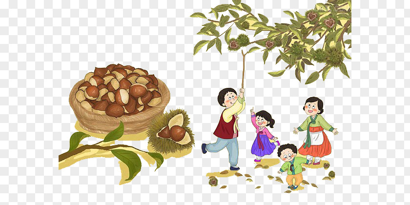 The Whole Family Picks Chestnut Chinese Castanea Crenata Drawing Cartoon Illustration PNG
