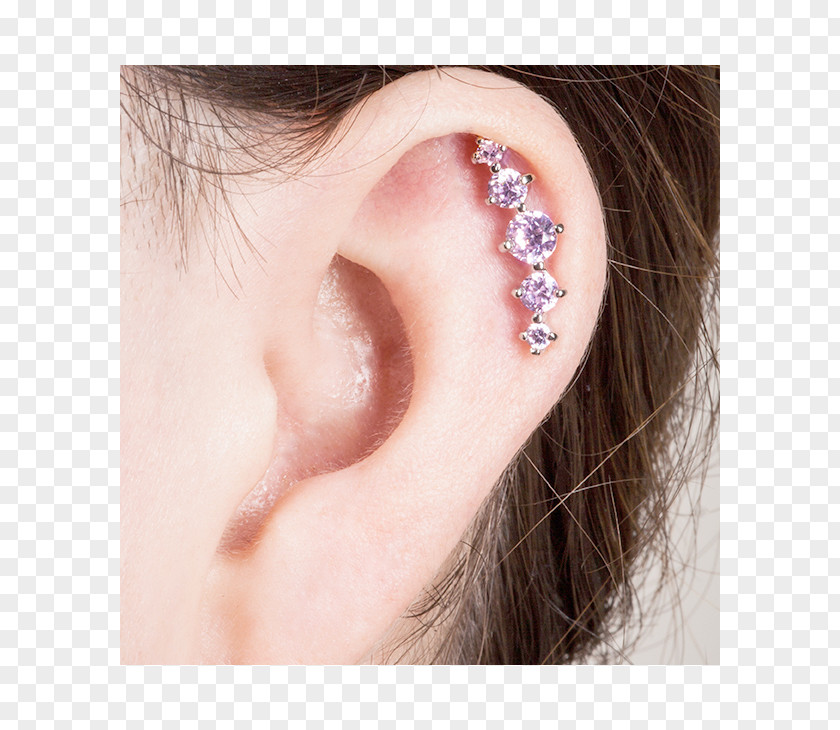 Barbell Earring Helix Piercing Cartilage Body PNG