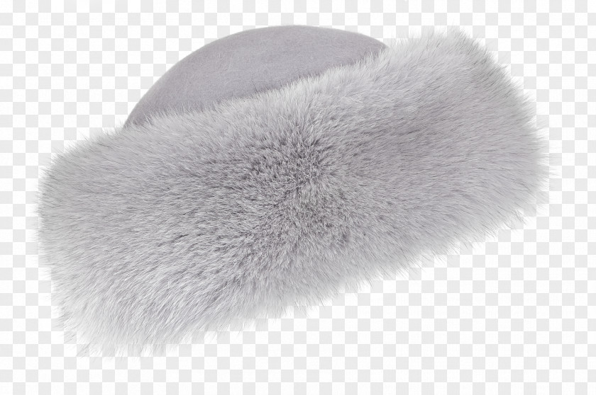 F40 Brush Fur PNG