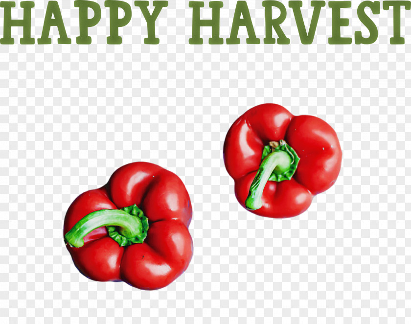 Happy Harvest Harvest Time PNG