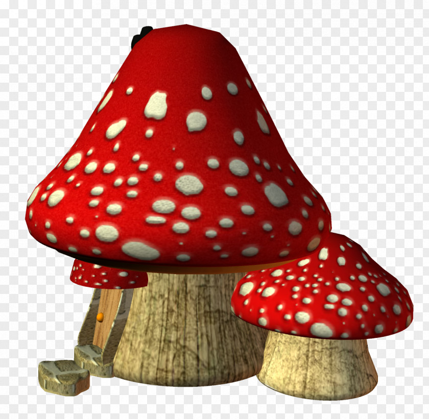 Mushroom Euclidean Vector Fungus PNG