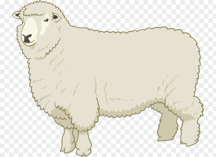 Sheep Drawing PNG