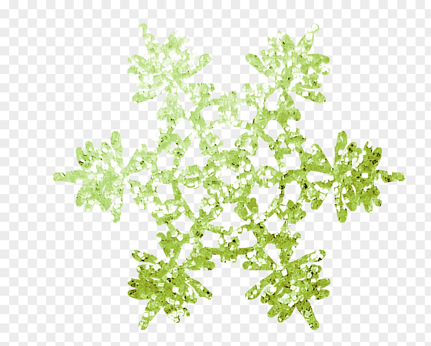 Snowflake Image PNG