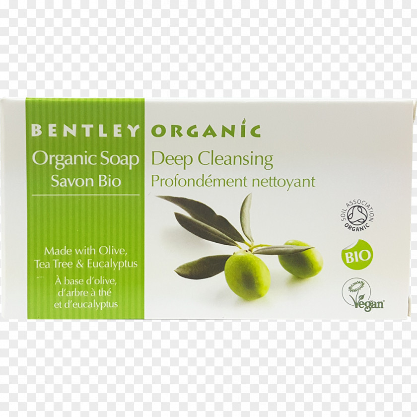 Soap Castile Organic Food Bentley Cleaning PNG