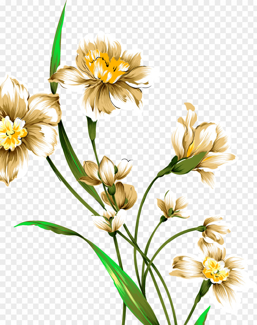 Watercolor Flowers Narcissus Tazetta Drawing Painting Download PNG