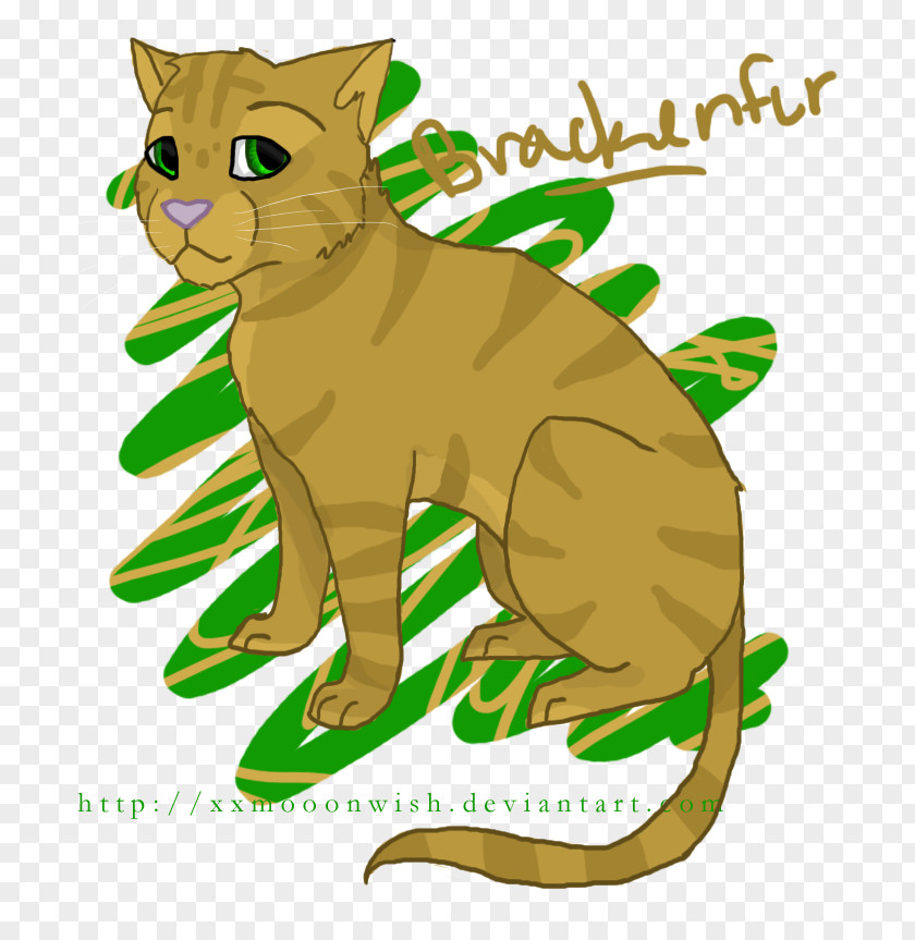 Cat Wildcat Whiskers Lion Clip Art PNG