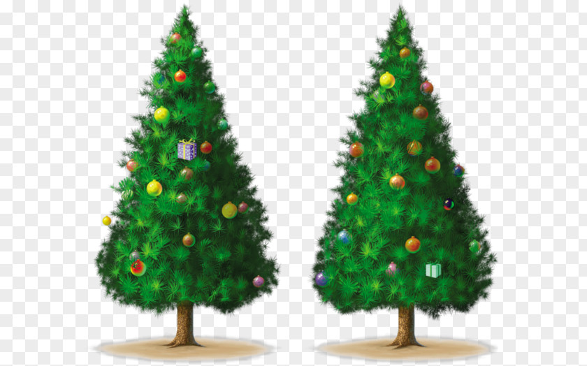 Christmas Tree Drawing Spruce PNG