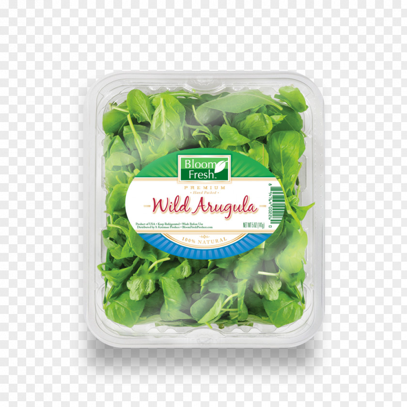 Fresh Salad Romaine Lettuce Leaf Vegetable Arugula Food PNG