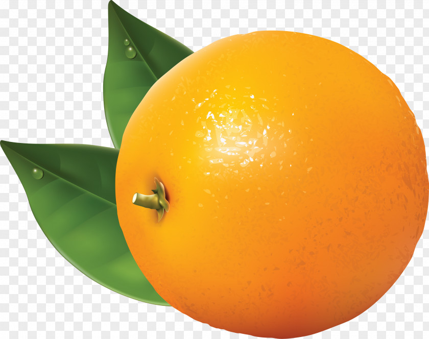 Orange Image, Free Download Tangerine Clip Art PNG
