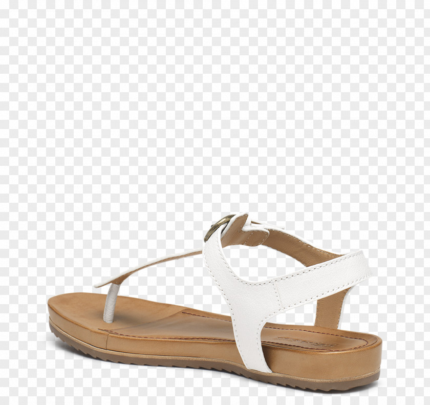 Sandal World Wide Web Shoe Product Slide PNG