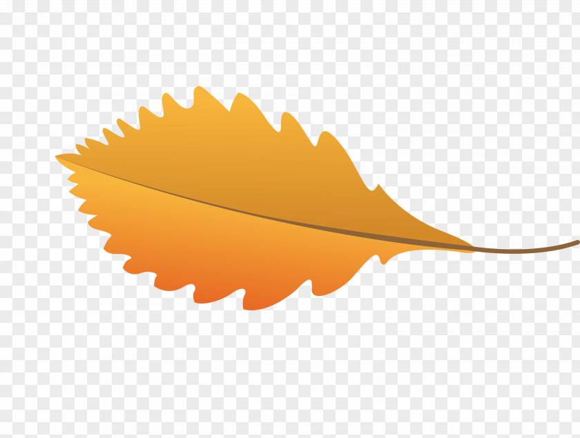 Leaf Meter Orange S.a. Biology PNG