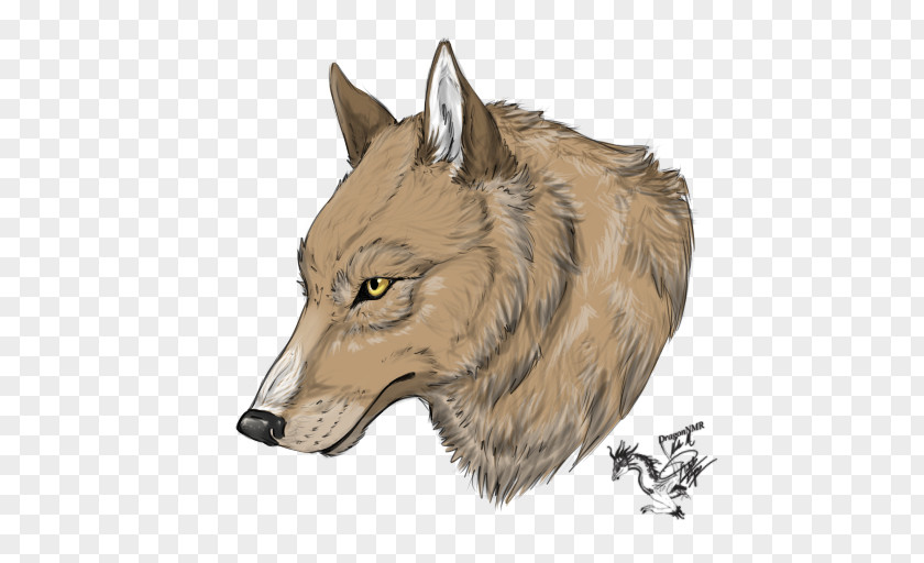 Mr Ping Gray Wolf Coyote Jackal Fauna Snout PNG