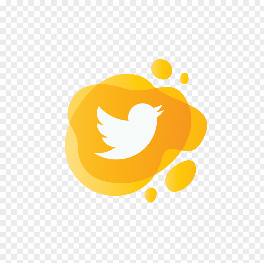 Twitter PNG