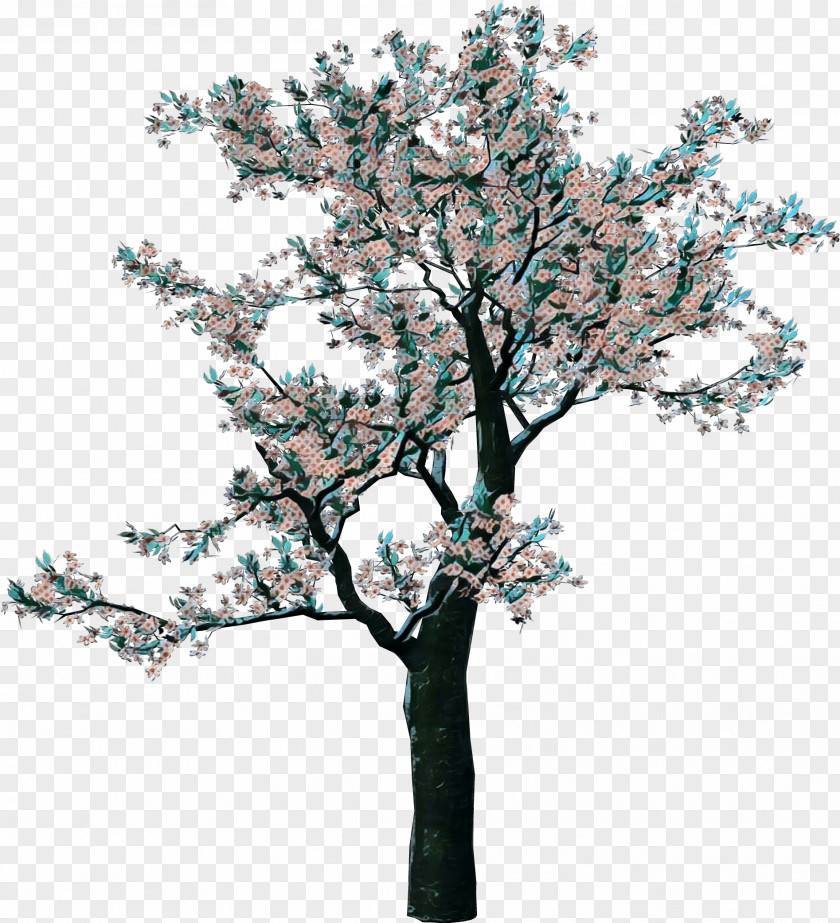 Clip Art Transparency Tree Free Content PNG