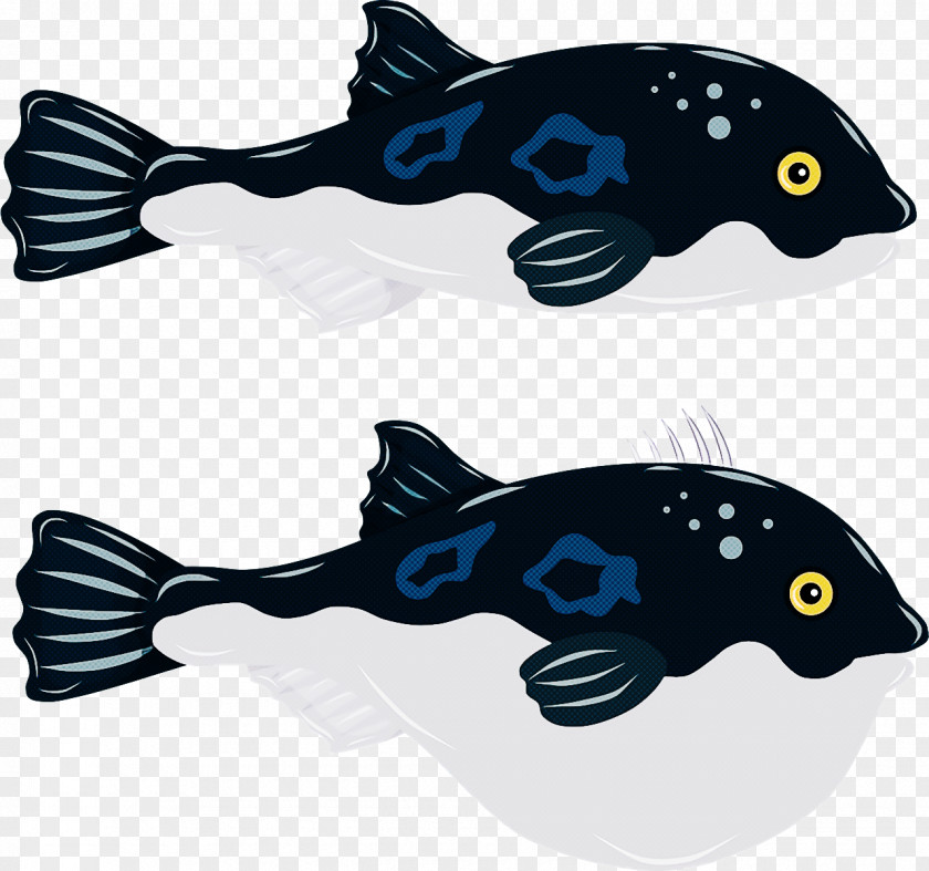 Cobalt Blue Fish Biology Science PNG