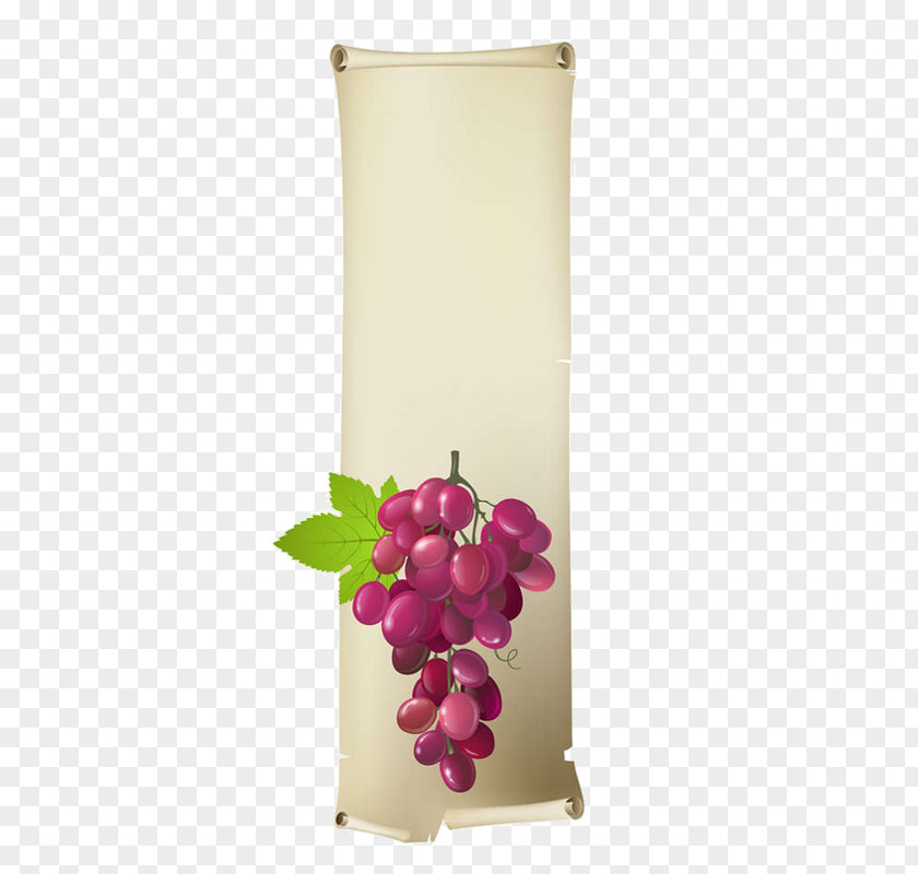 Grape Vector Graphics Royalty-free Image Illustration PNG