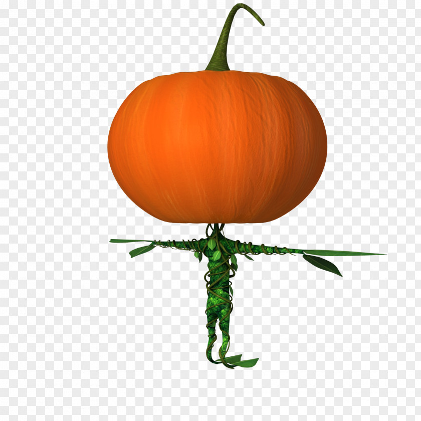 Halloween Pumpkin Winter Squash Calabaza Gourd Cucurbita PNG