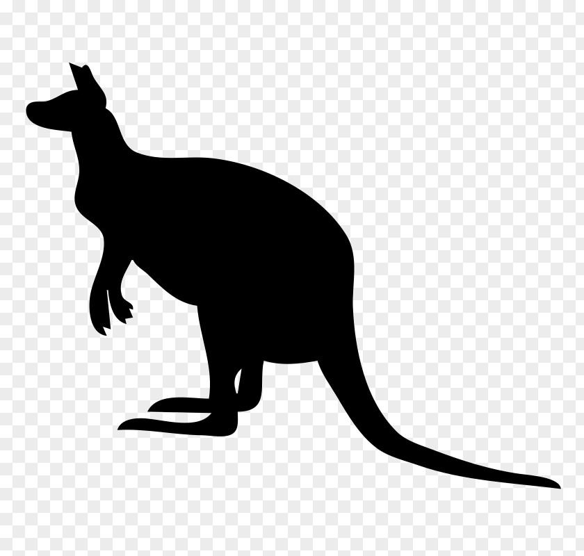 Kangaroo Cartoon Clip Art Illustration Silhouette PNG