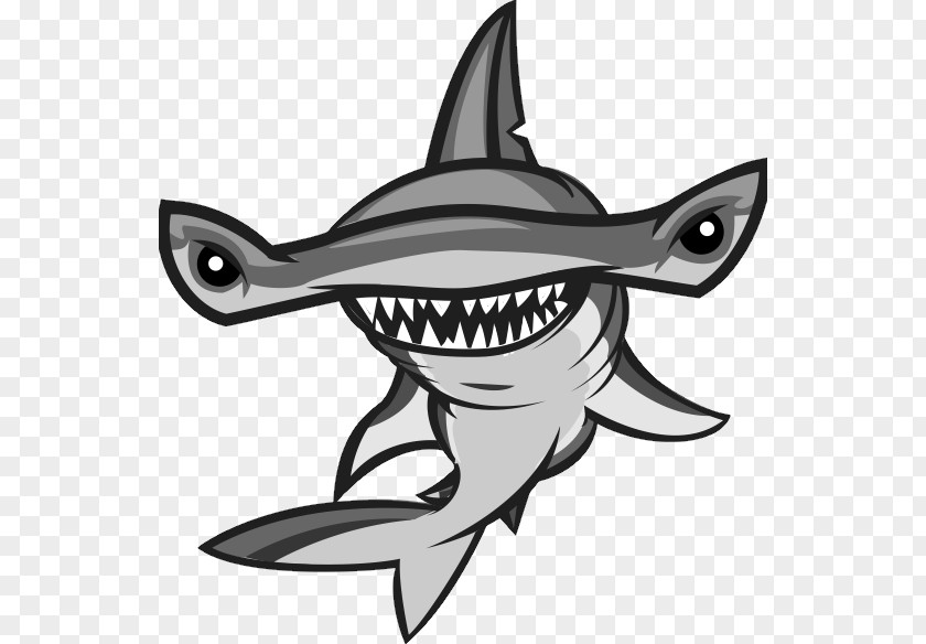 Shark Hammerhead Vector Graphics Stock Photography Illustration PNG