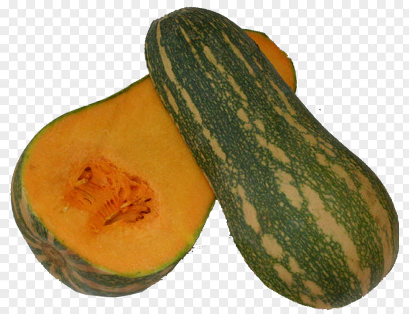 Watermelon Cantaloupe Calabaza Winter Squash Gourd PNG