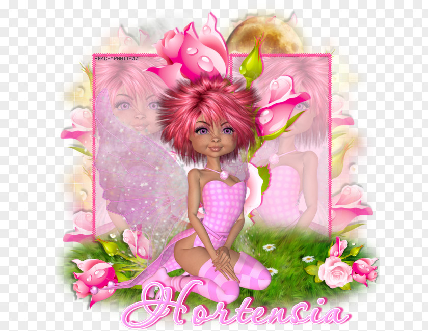 Fairy Floral Design Cut Flowers Rose Family PNG