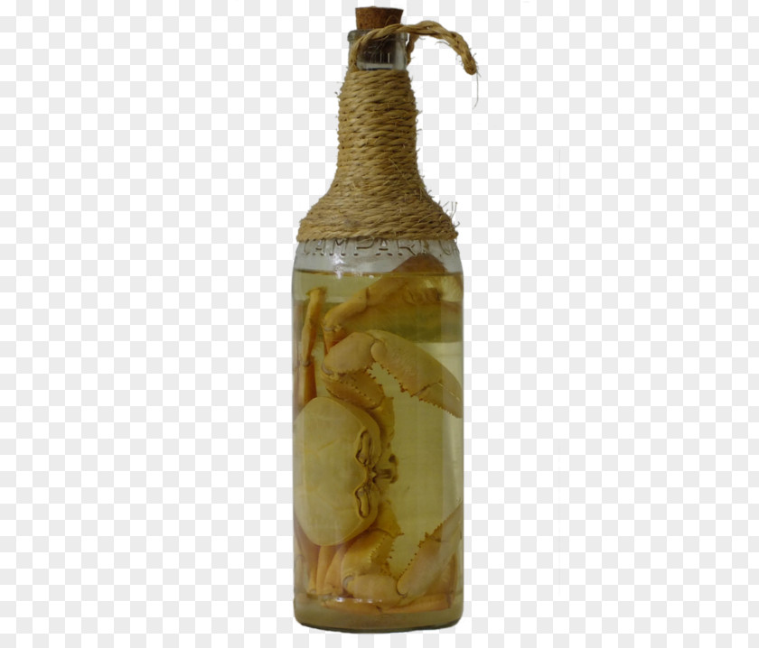 Hermit Crabs DeviantArt Water Bottles Stock PNG