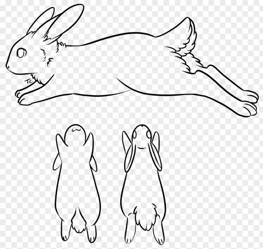 Horse Domestic Rabbit Macropodidae Hare Clip Art PNG