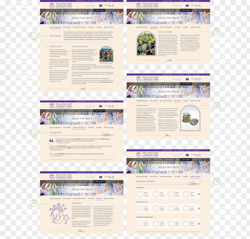 Lavender Fields Brand Font PNG