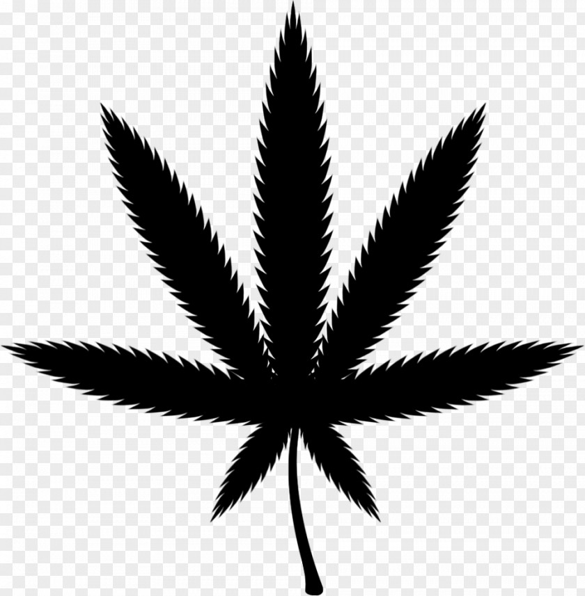 Maconha Medical Cannabis Font PNG