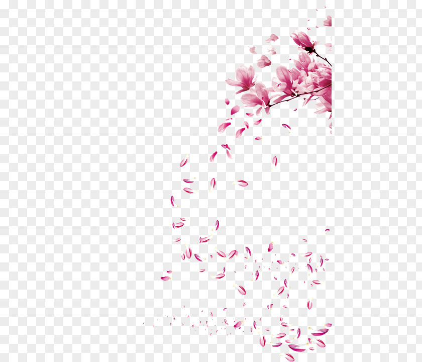 Peach Blossom Festival Watercolor Painting Cherry Brush PNG