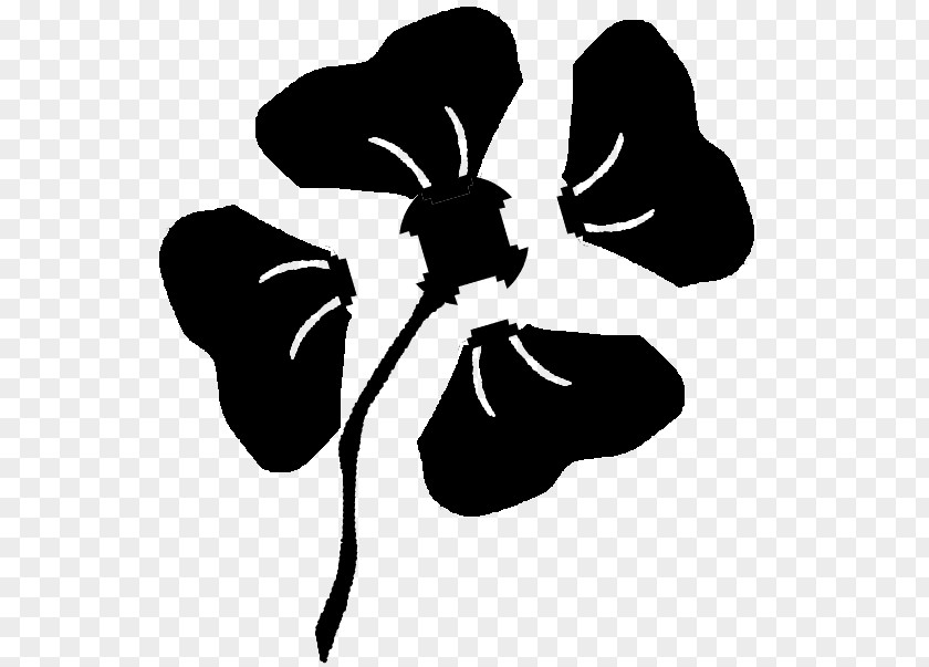 Poppy Common Flower Black Clip Art PNG
