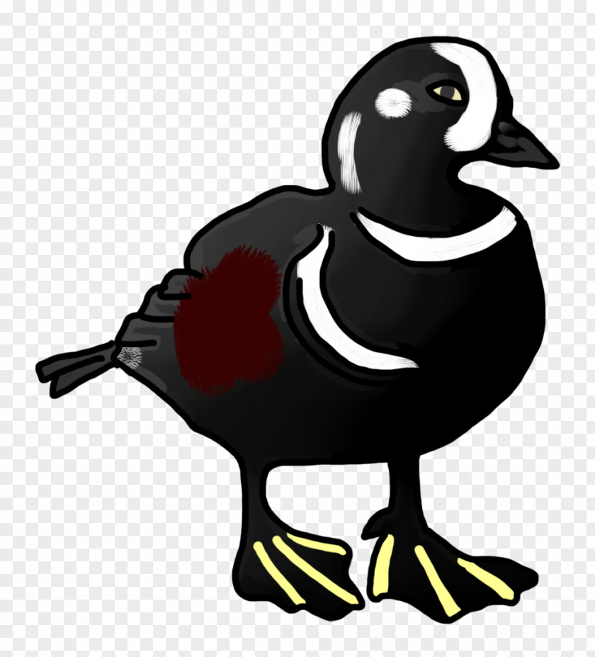 Black Duck Goose Clip Art PNG