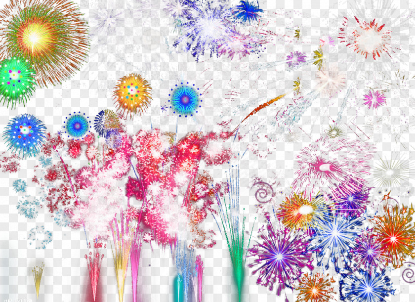 Color Gorgeous Fireworks Floral Design Download PNG