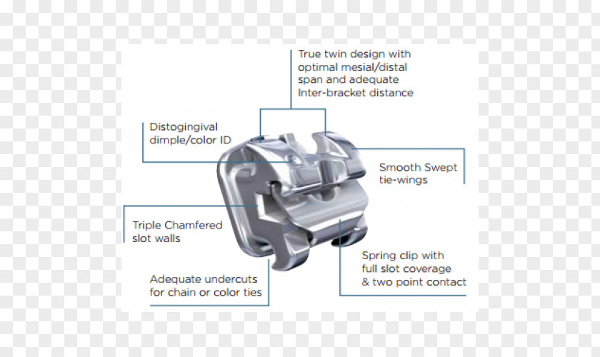 Interproximal Reduction Dental Braces Orthodontics And Dentofacial Orthopedics Ovation Guitar Company Tooth Movement PNG