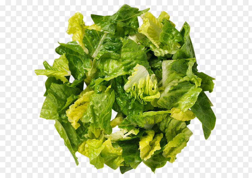 Vegetable Romaine Lettuce Caesar Salad Vegetarian Cuisine PNG