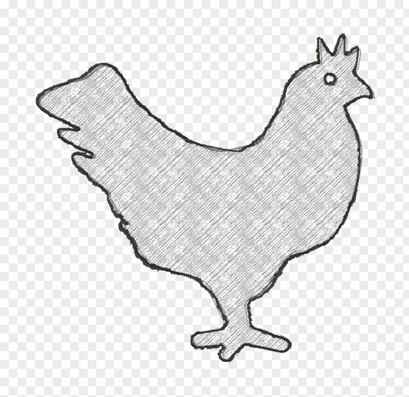 Chicken Icon Hen Animals PNG
