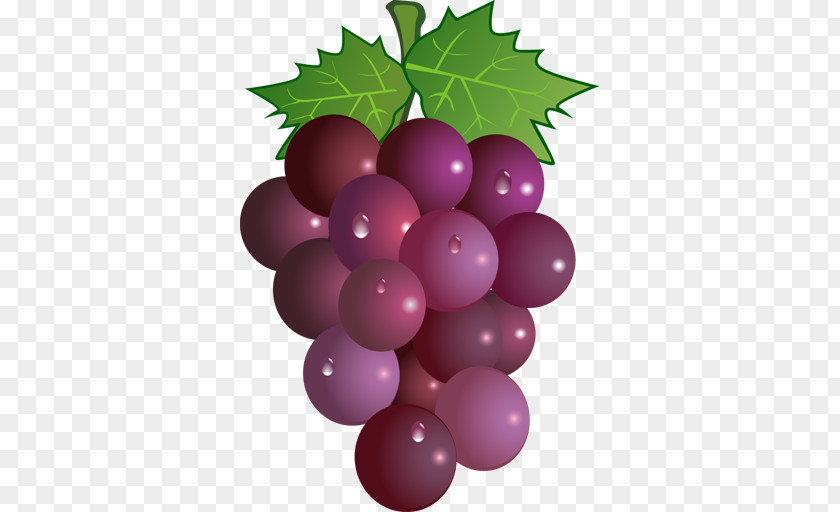 Club Wine Clip Art Vector Graphics Grape PNG