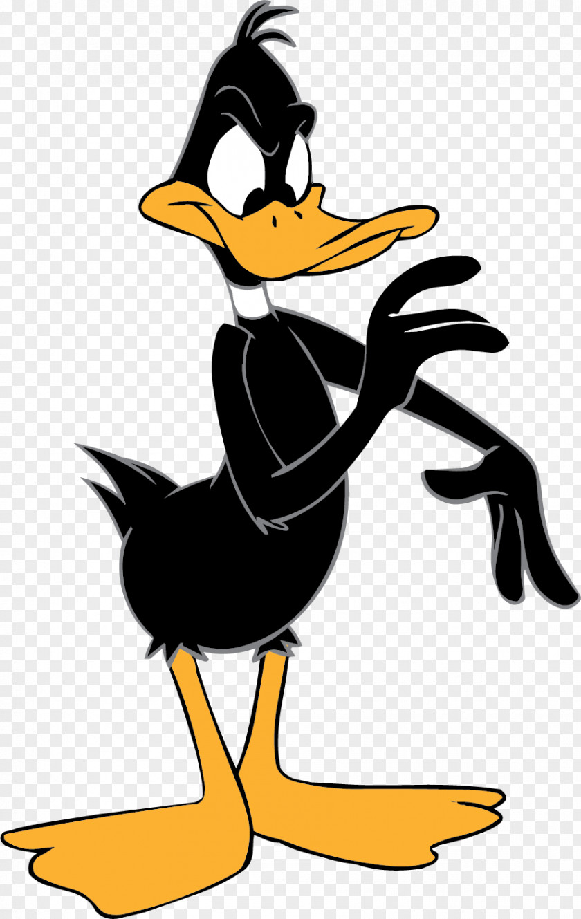 Daisy Duck Daffy Donald Mickey Mouse Bugs Bunny PNG