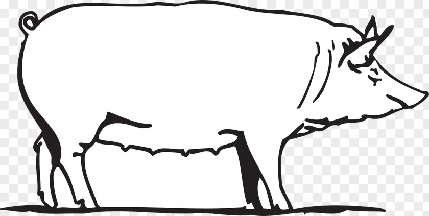 Farm Cartoon Clip Art Large White Pig Drawing Image Vector Graphics PNG