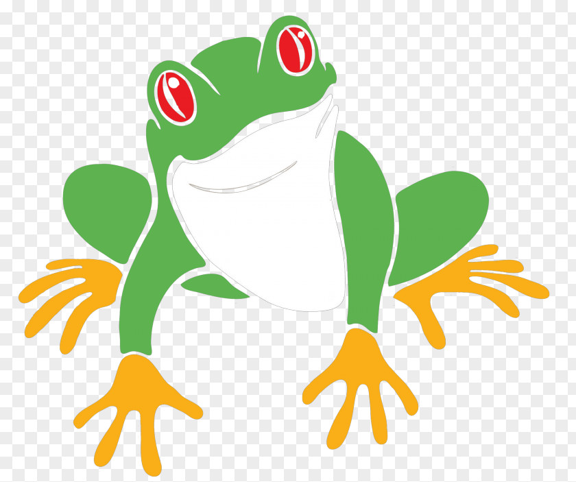 Frog Tree True Toad Drawing PNG