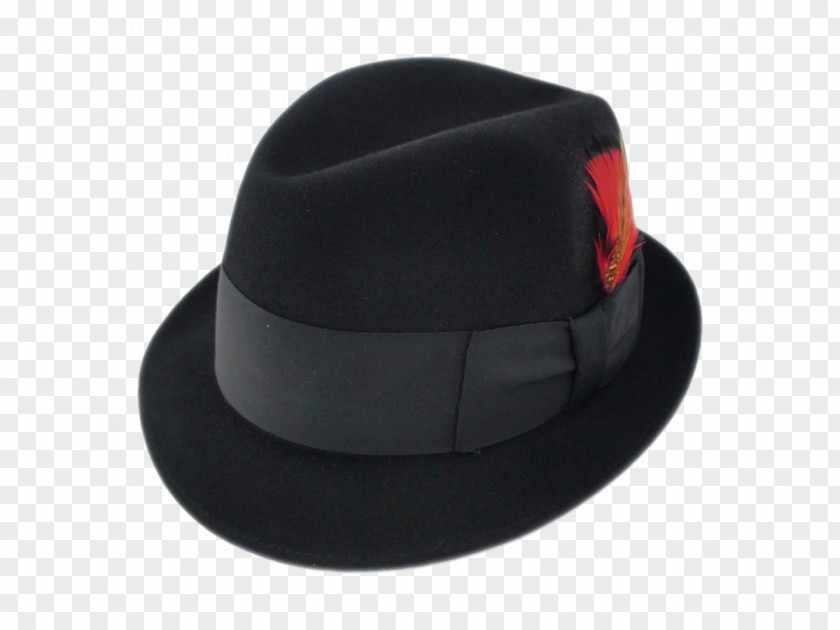 Hat Fedora Trilby Felt PNG