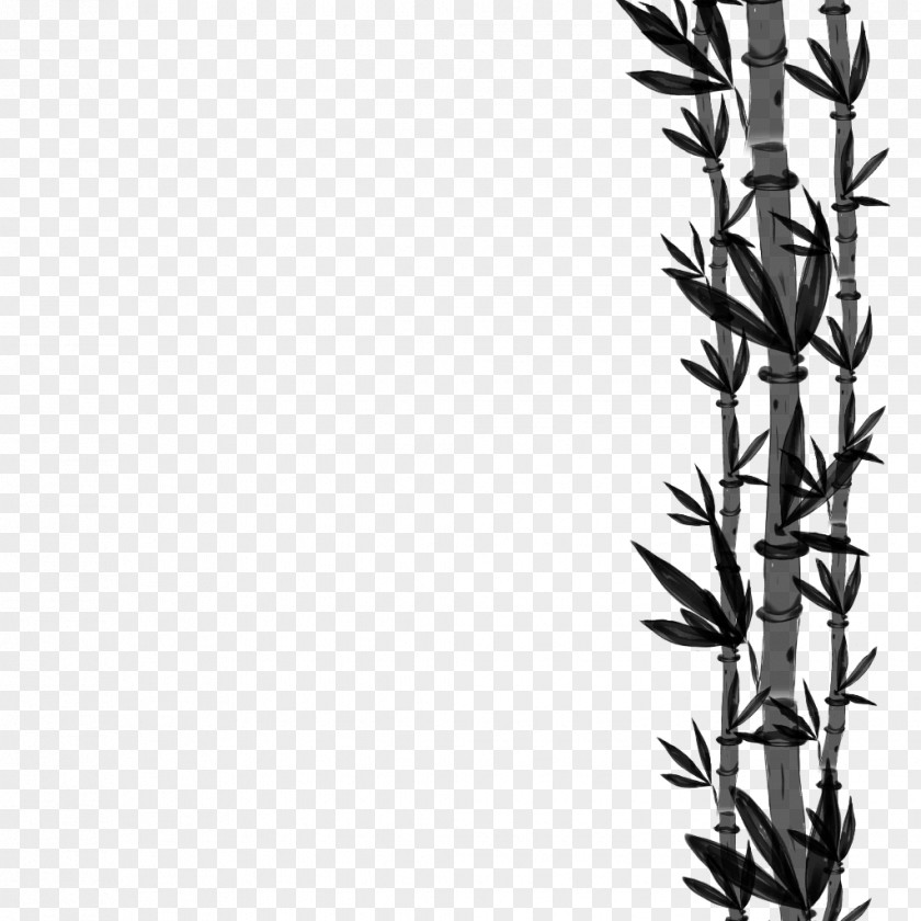 M Font Grasses Line Plant Stem Black & White PNG