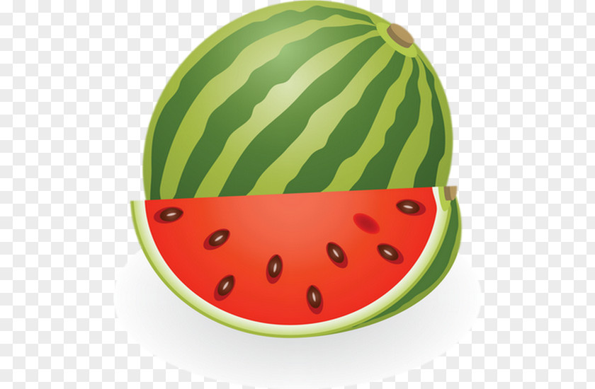 Melon Watermelon Drawing Clip Art PNG