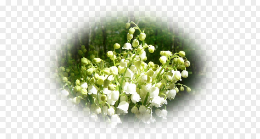 Plant April Floral Design PNG