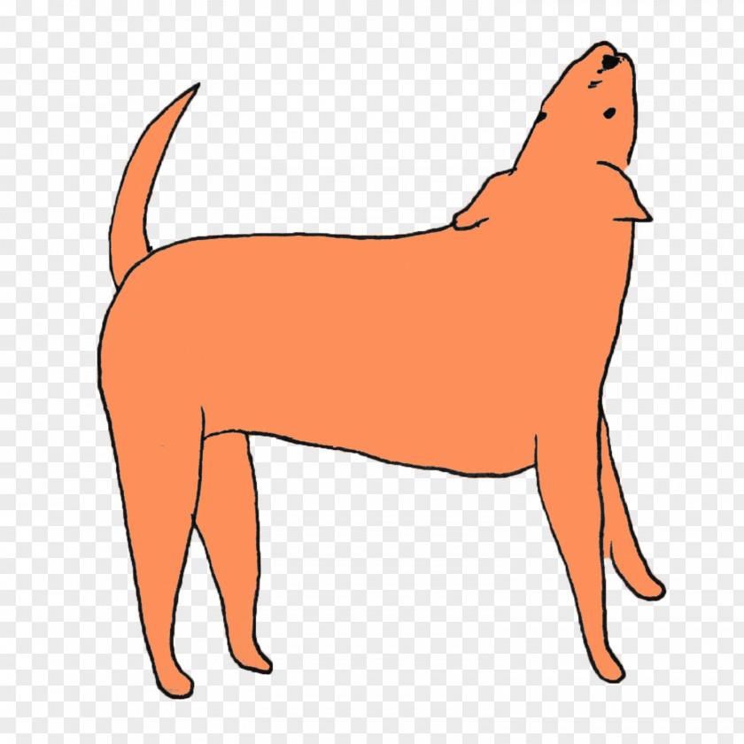 Puppy Dog Breed Snout PNG
