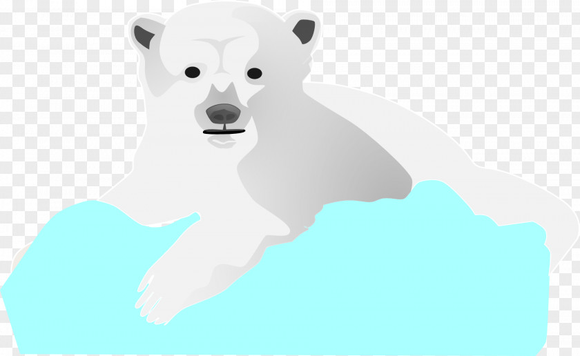 Bear Polar Mammal Carnivora Canidae PNG
