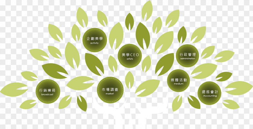 Organise Organization The Olive Tree Branch Fruit PNG