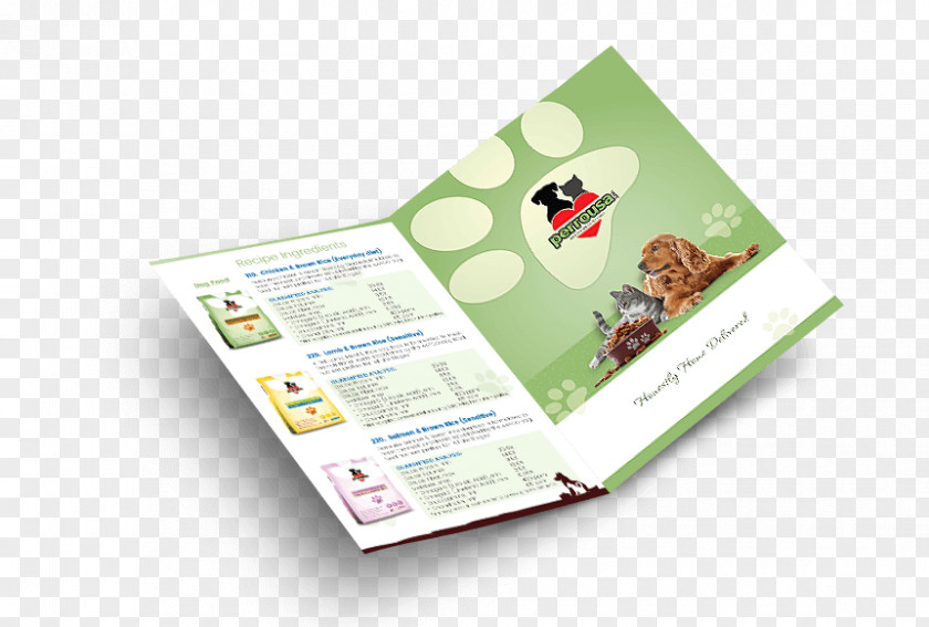 Design Paper Flyer Pamphlet Printing Brochure PNG