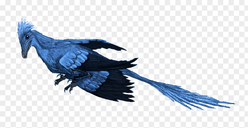 Dinosaur Microraptor Archaeopteryx Gigantoraptor Yixian Formation PNG