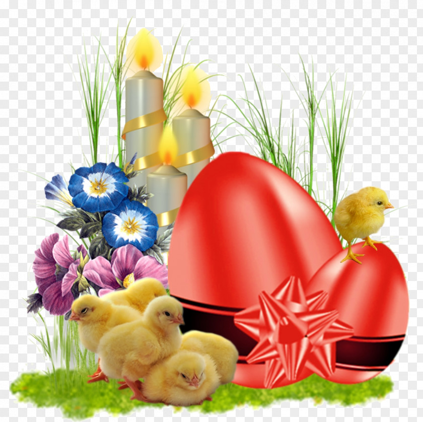 Easter Egg Samos Bird Floral Design PNG